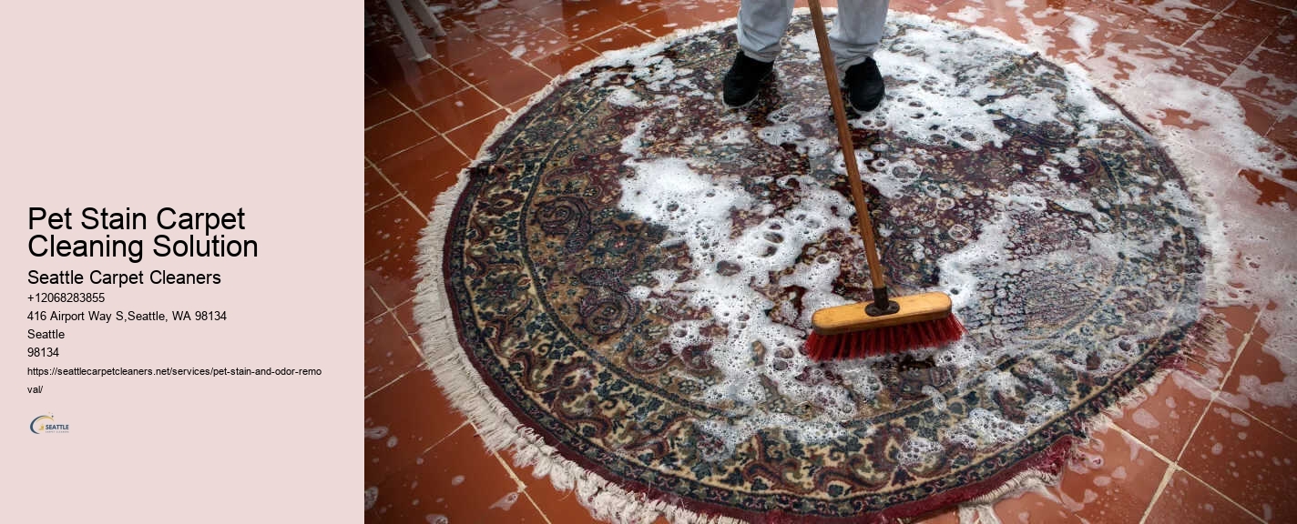 Pet Stain Carpet Cleaning Solution