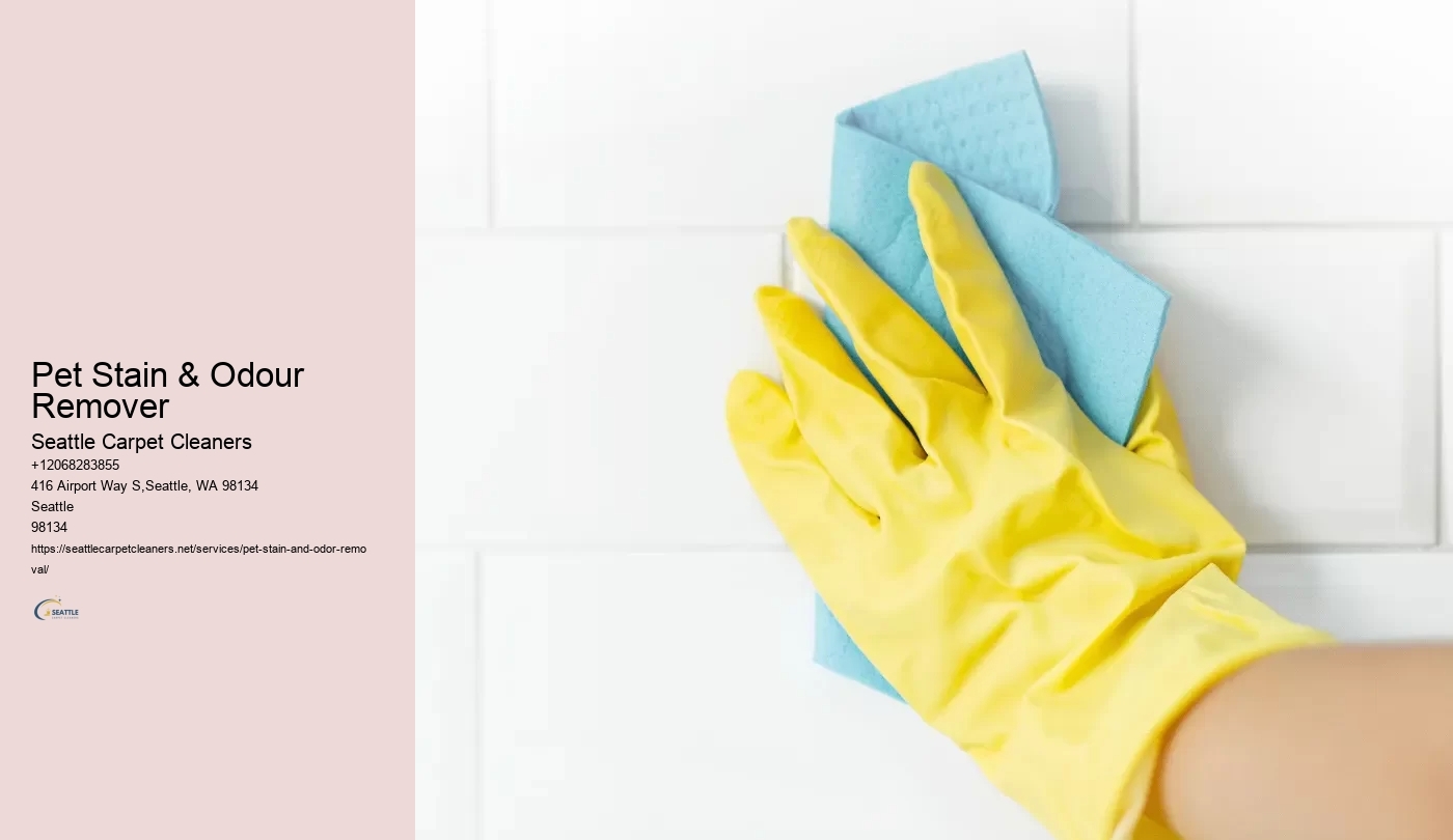 Pet Stain & Odour Remover
