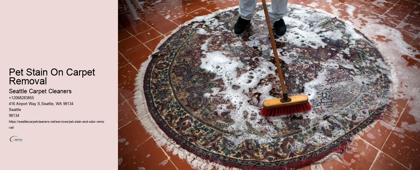Pet Stain On Carpet Removal