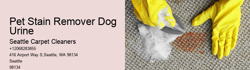 Pet Stain Remover Dog Urine