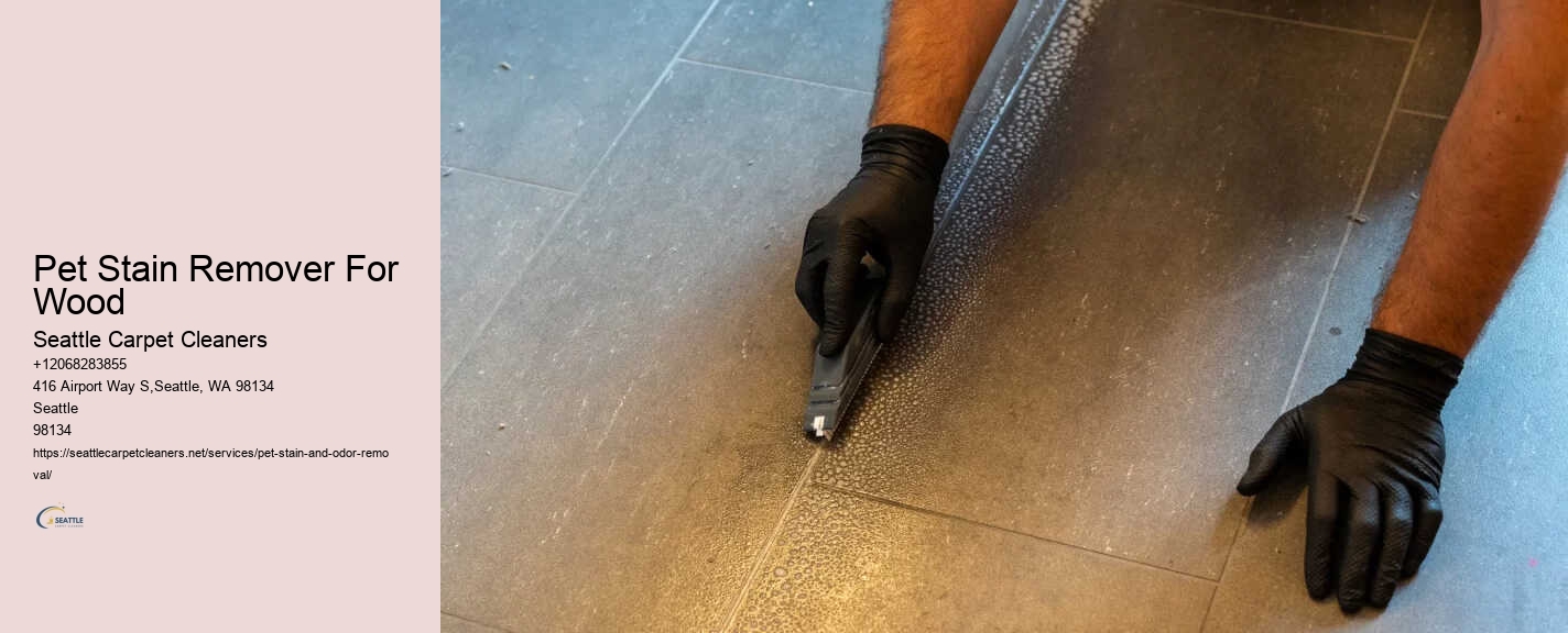 Pet Stain Remover For Wood