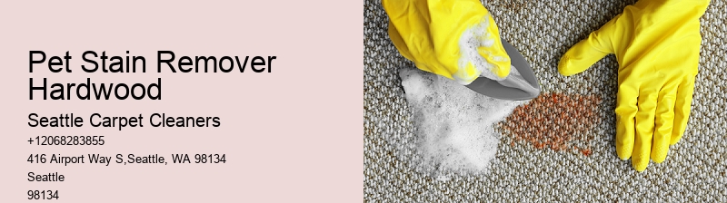 Pet Stain Remover Hardwood