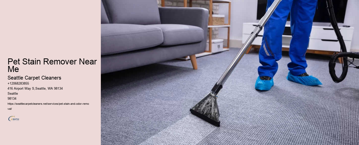 Pet Stain Remover Near Me