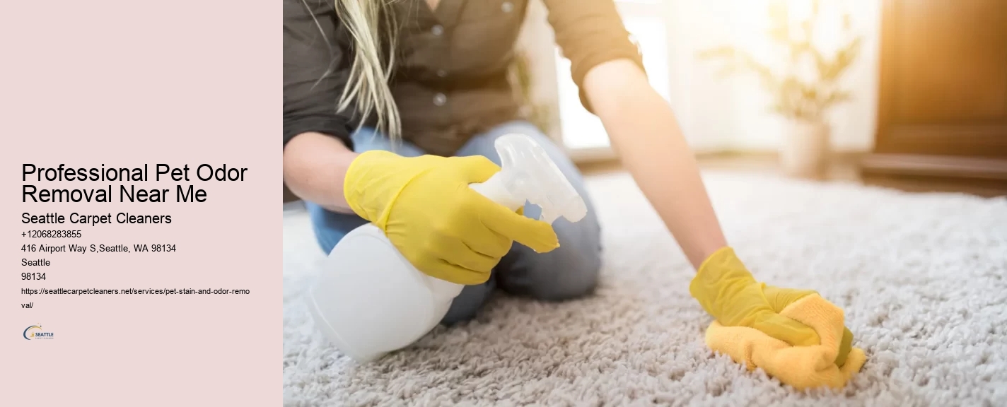 Professional Pet Odor Removal Near Me