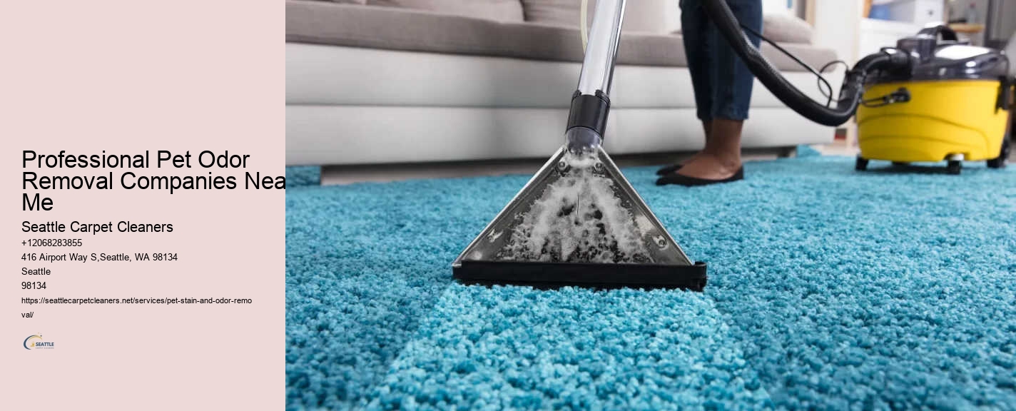 Professional Pet Odor Removal Companies Near Me