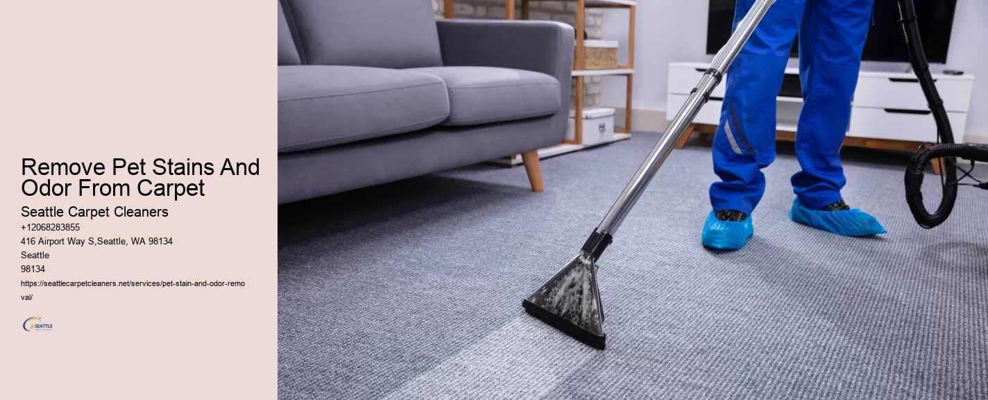 Remove Pet Stains And Odor From Carpet