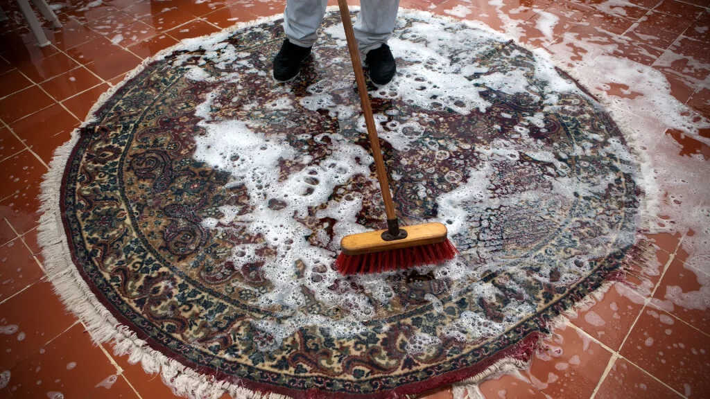 Why does my carpet still smell like dog pee after shampooing