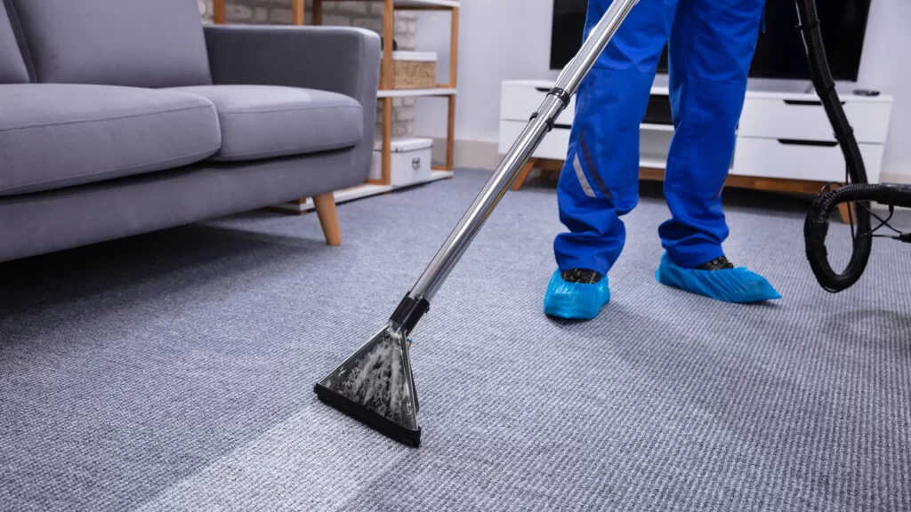 Odor Removal Specialist