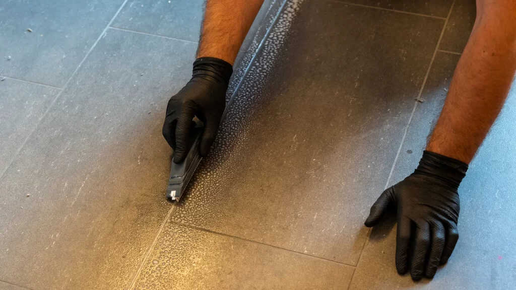 Pet Odor Removal Service Near Me