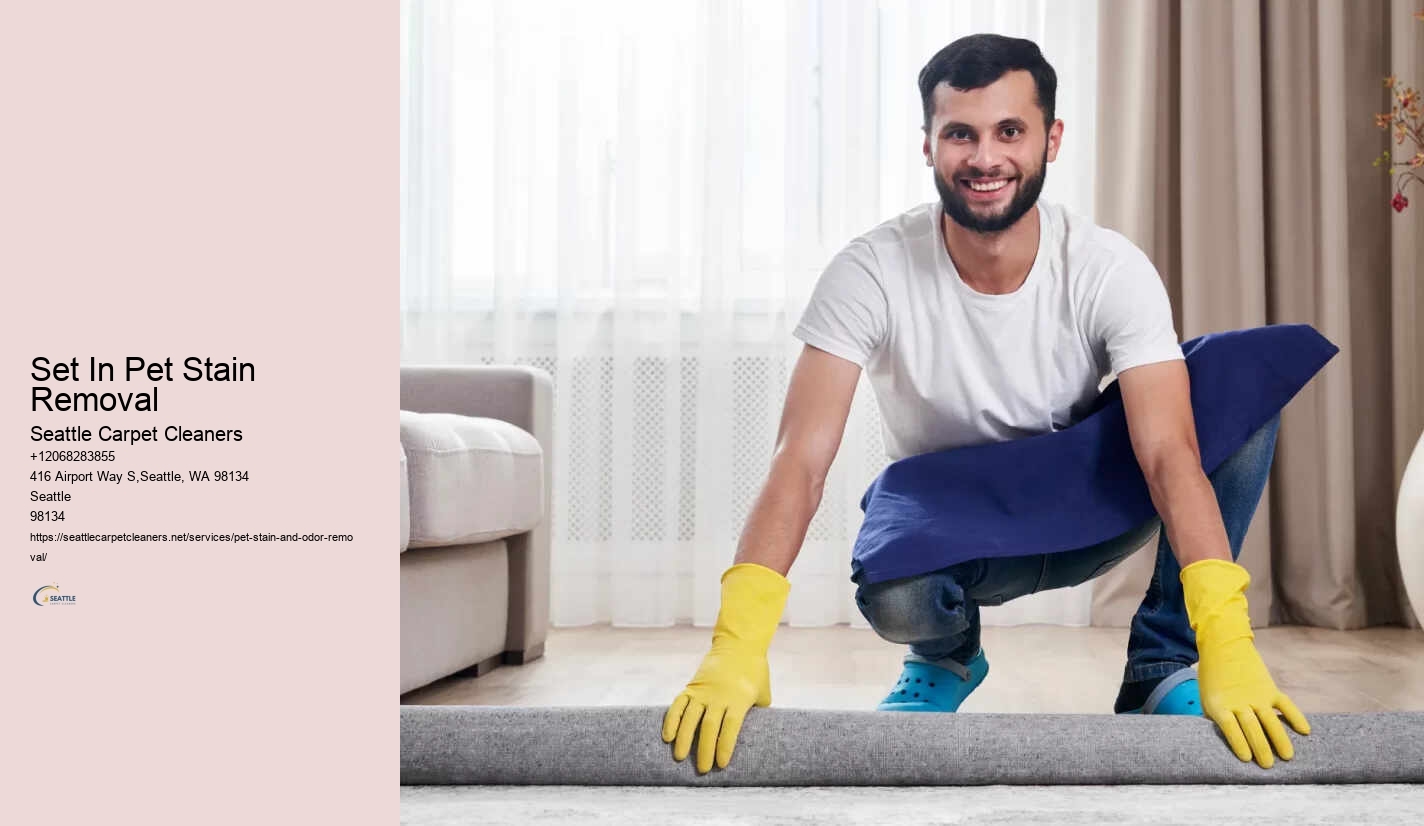 Set In Pet Stain Removal