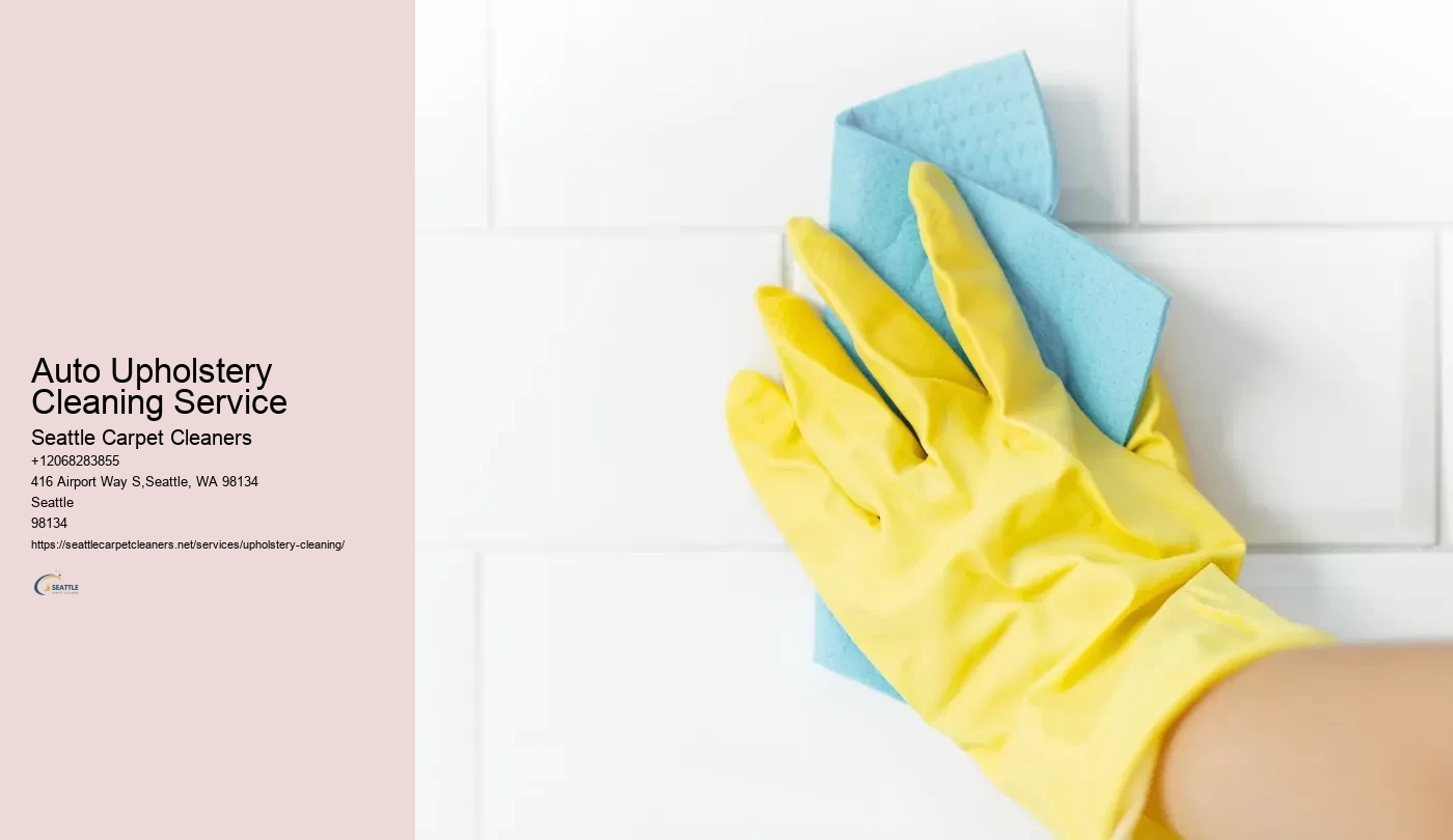 Auto Upholstery Cleaning Service