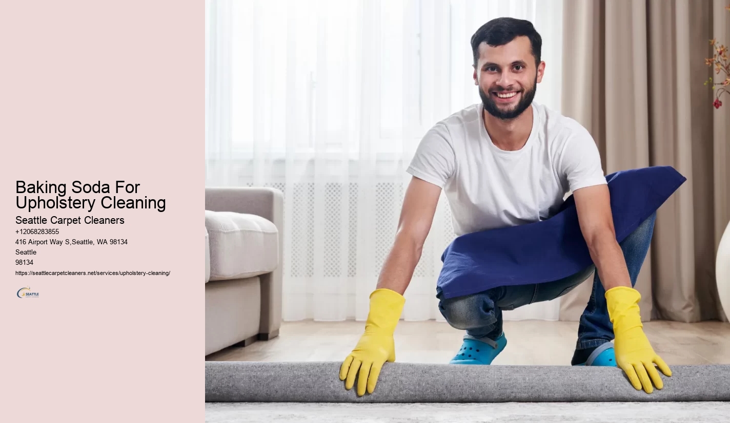 Baking Soda For Upholstery Cleaning