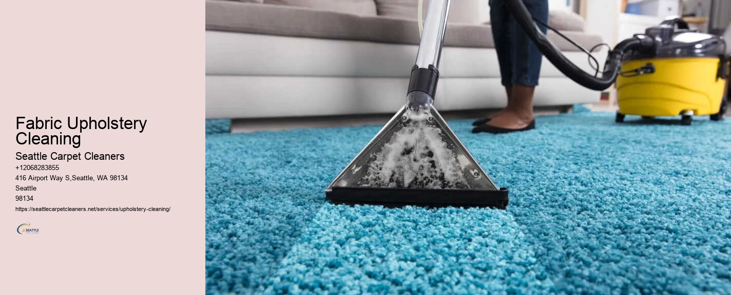 Fabric Upholstery Cleaning