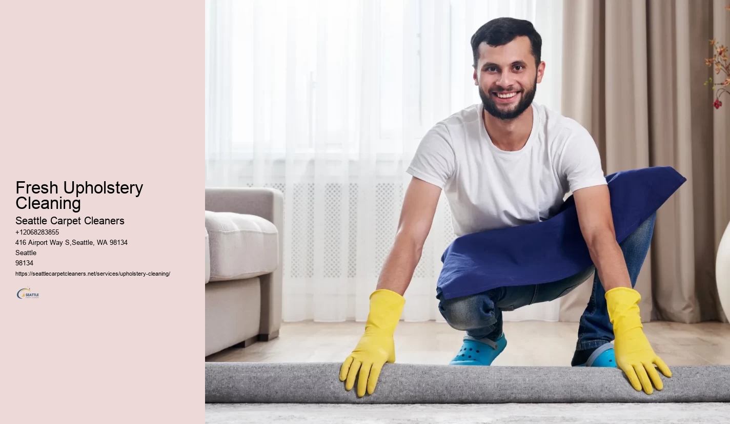 Fresh Upholstery Cleaning