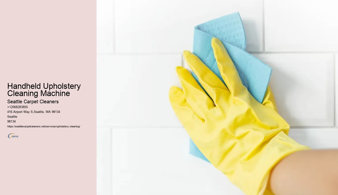 Handheld Upholstery Cleaning Machine