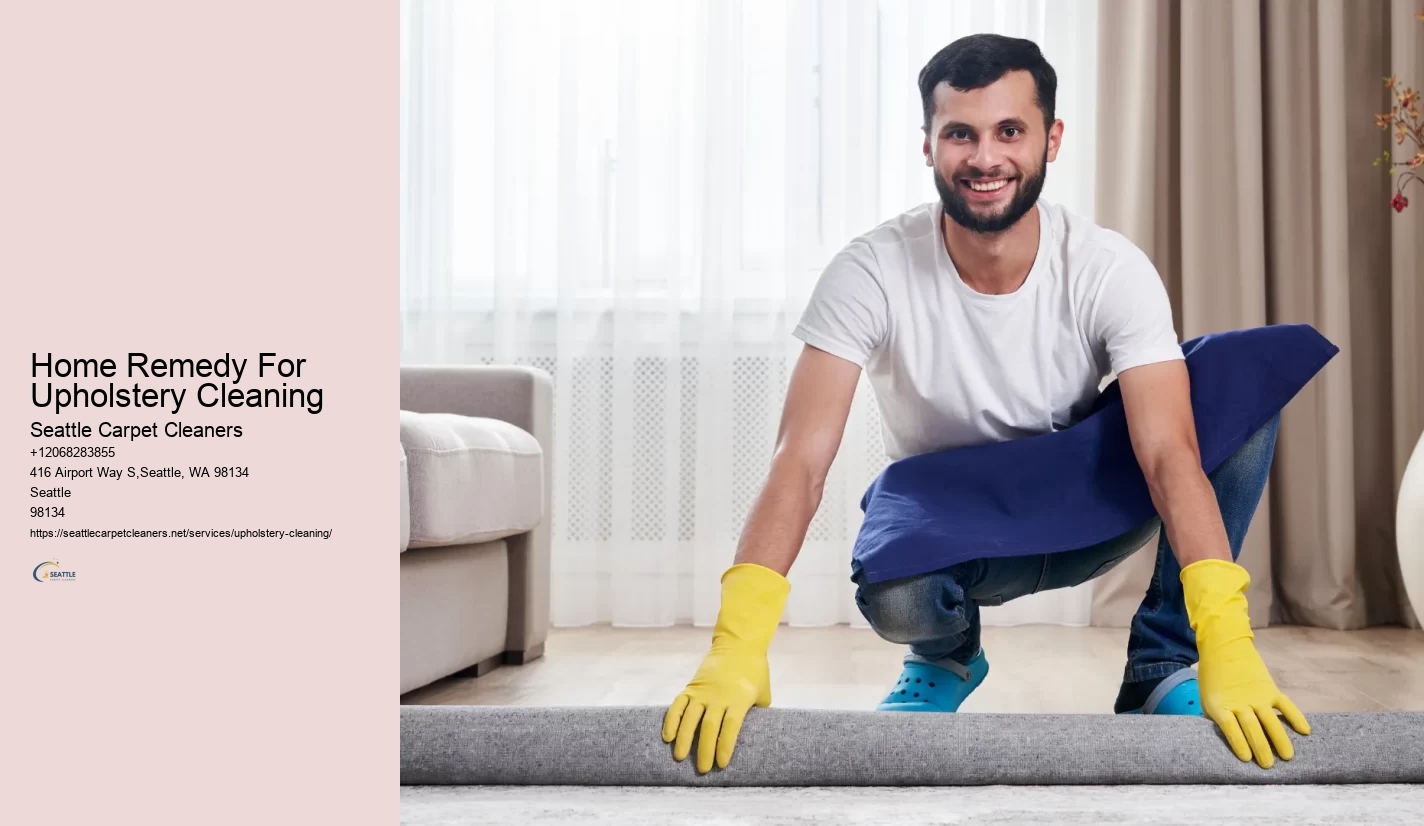 Home Remedy For Upholstery Cleaning