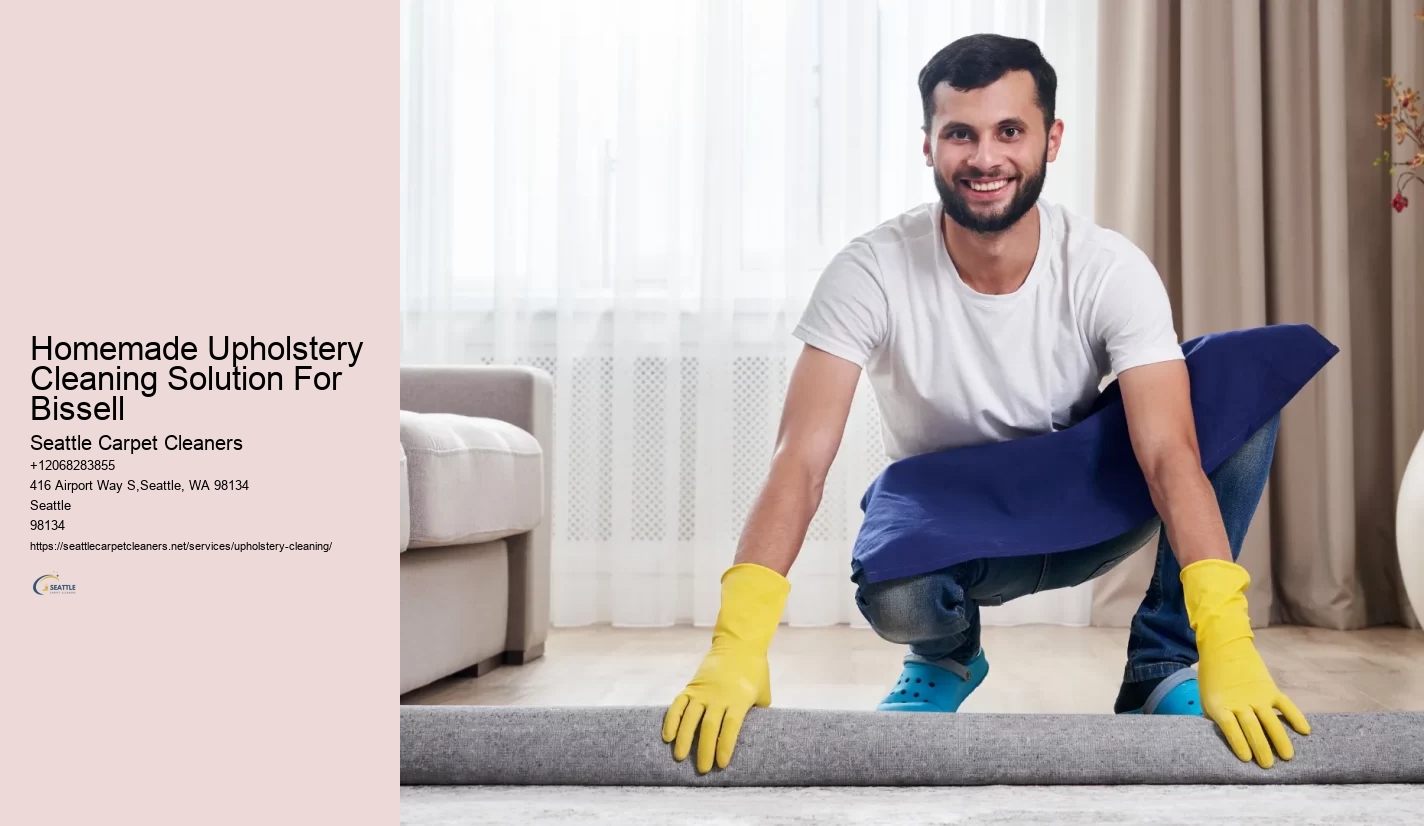 Homemade Upholstery Cleaning Solution For Bissell