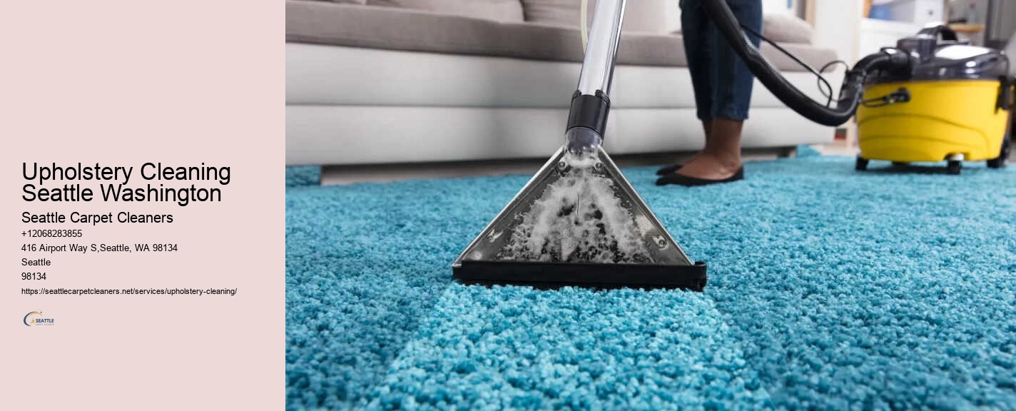 Upholstery Cleaning Seattle Washington