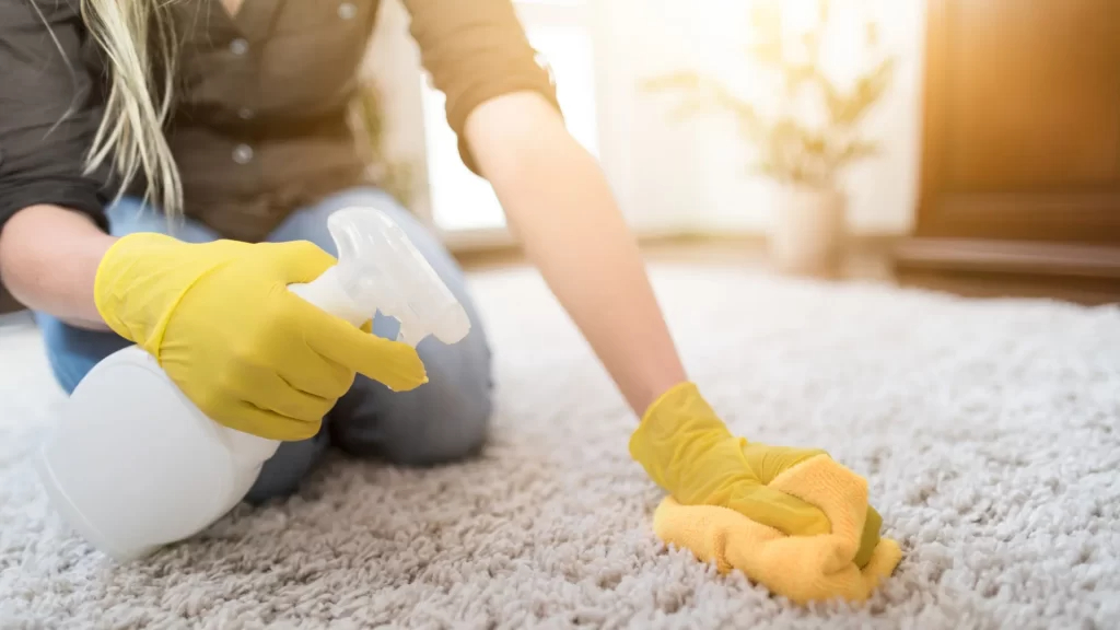 How Long Does It Take To Professionally Clean A Sofa