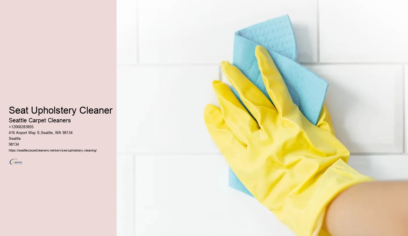 Seat Upholstery Cleaner