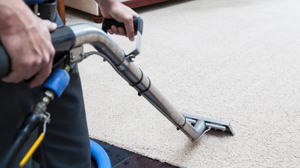 Handheld Upholstery Cleaning Machine