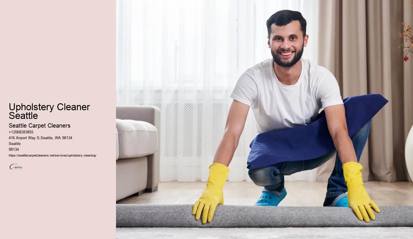 Upholstery Cleaner Seattle