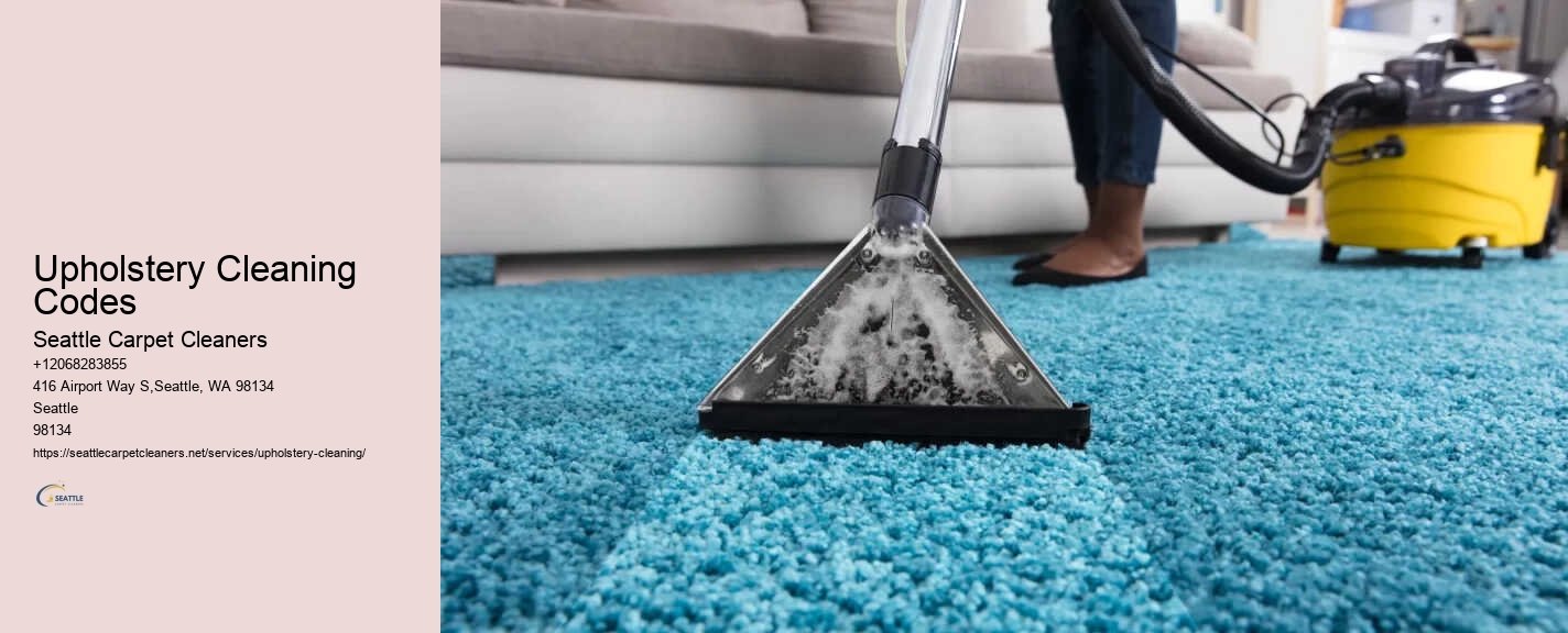 Upholstery Cleaning Codes