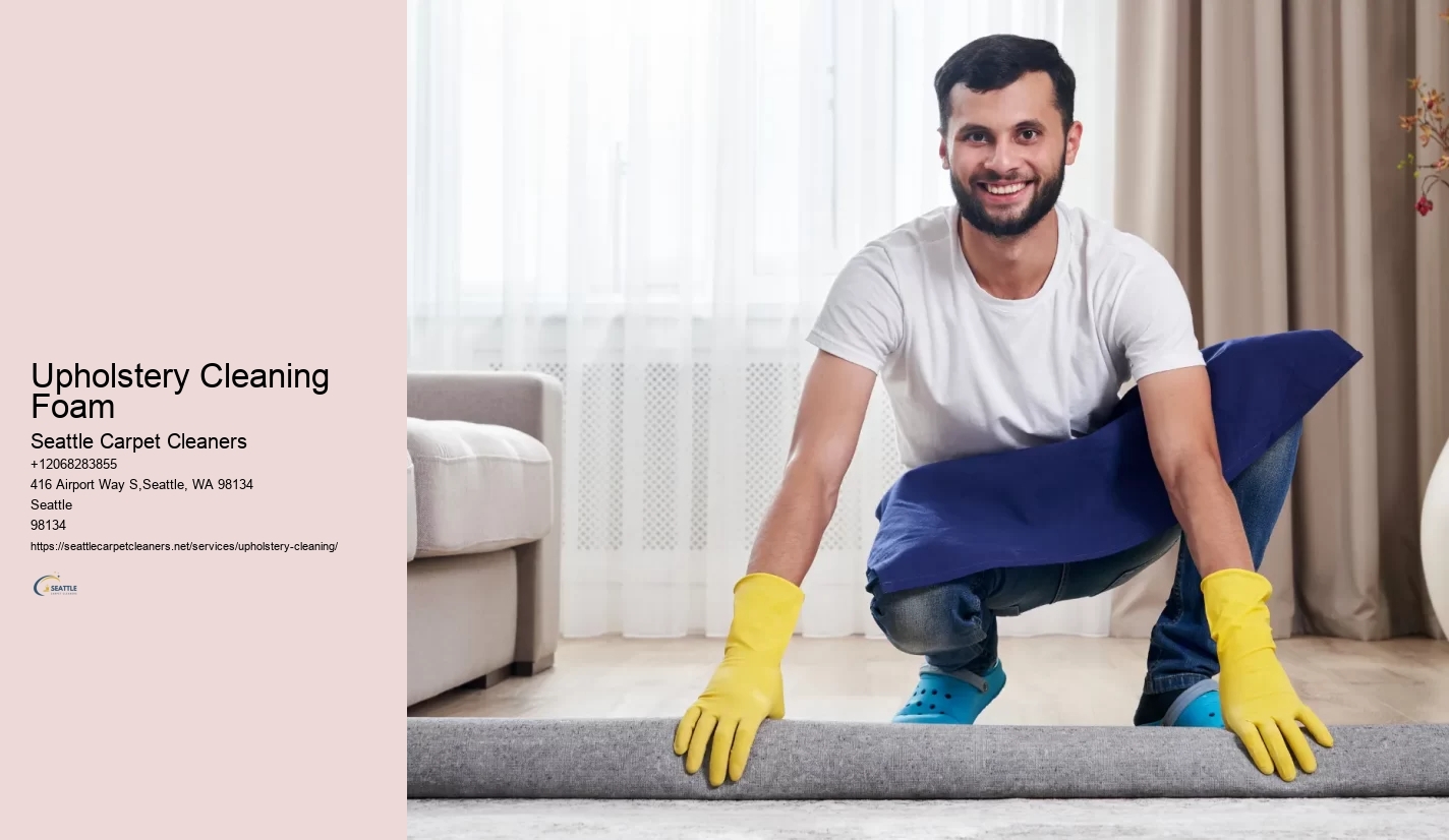 Upholstery Cleaning Foam