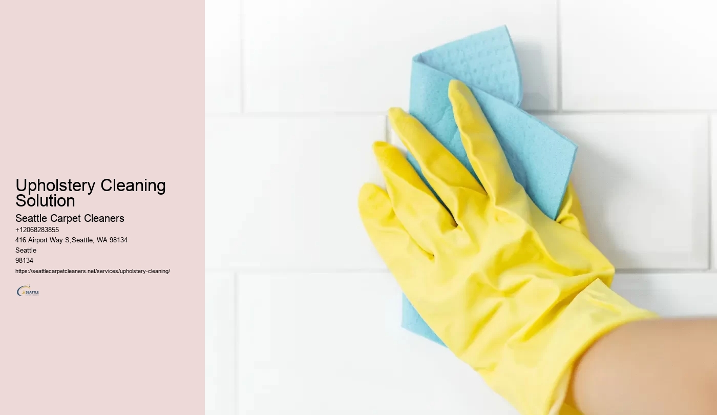 Upholstery Cleaning Solution
