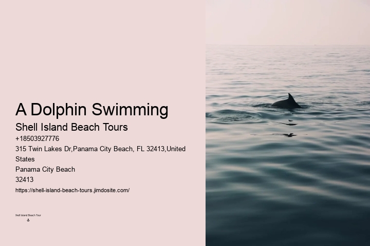 Are there any discounts available for group bookings on dolphin tours in Panama City Beach