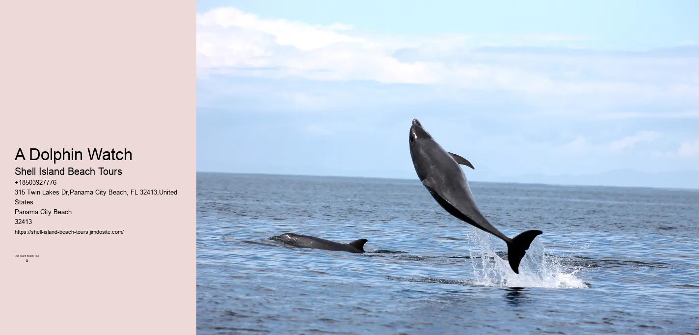 Are there any age restrictions for dolphin tours in Panama City Beach