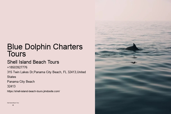 Panama City Beach Dolphin Adventure Cruises