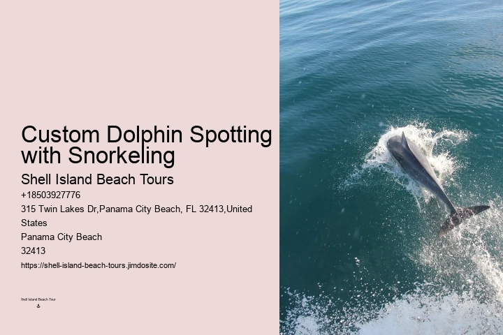 Are Dolphins Very Aggressive