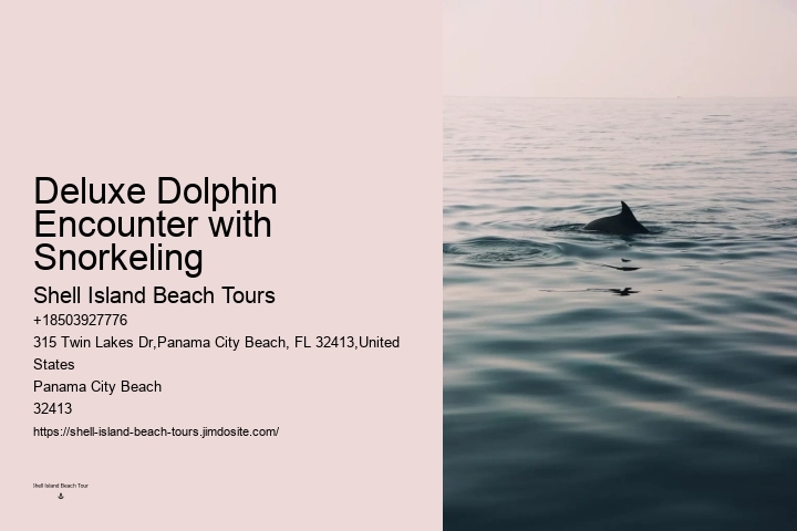 Split Expert-guided Snorkeling And Dolphin Adventures