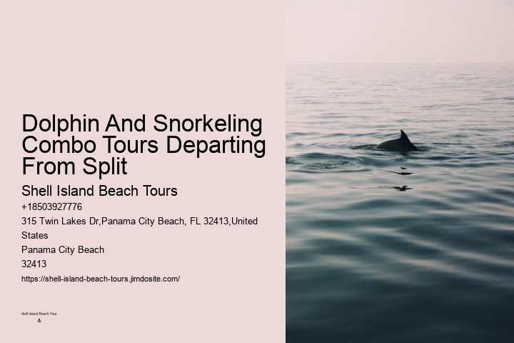 Luxury Dolphin Watching and Snorkeling Excursions
