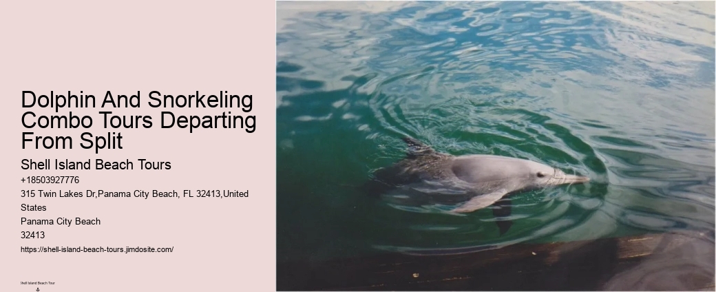Can Dolphins Smell Fear