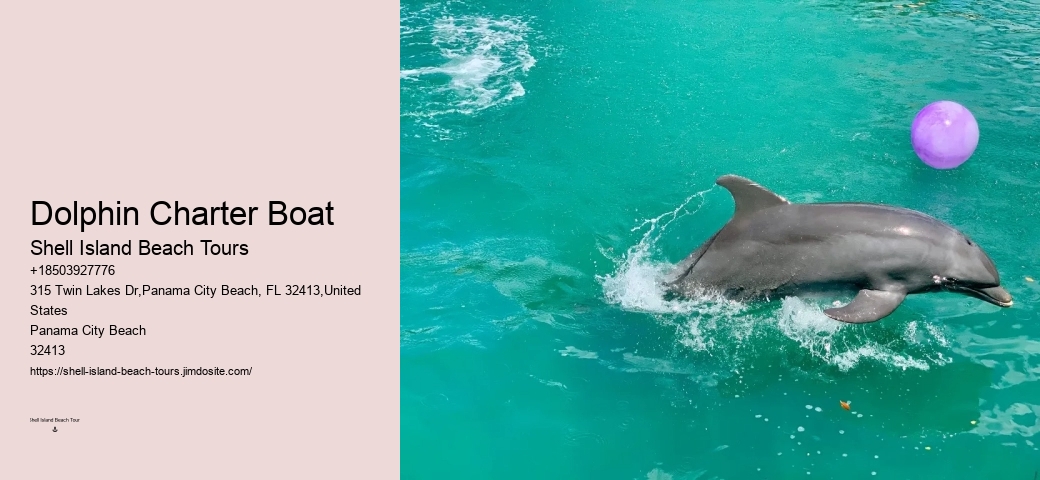 Tailored Dolphin Safari with Snorkeling