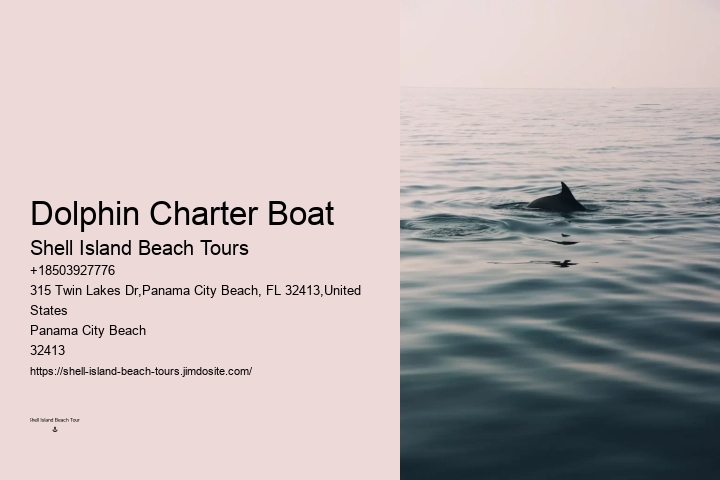 What should I bring with me on a dolphin tour in Panama City Beach