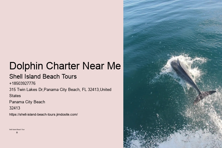 Dolphin Discovery Tours PCB