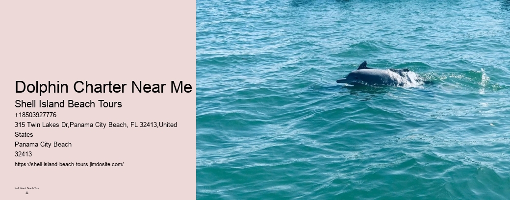 Dolphin Charter Near Me