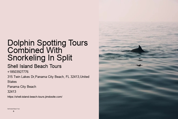 What Is The Dolphin Capital Of The World