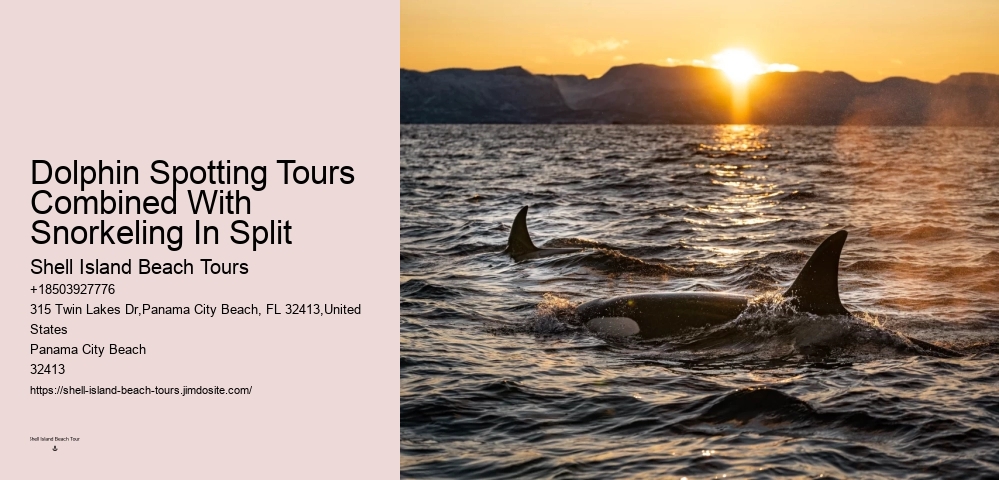 What is the refund policy if I'm not satisfied with the dolphin tour