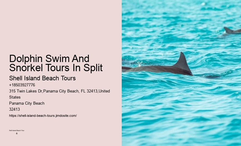 Luxury Dolphin Safari and Snorkeling Tours