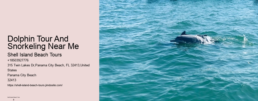 Dolphin Tour And Snorkeling Near Me
