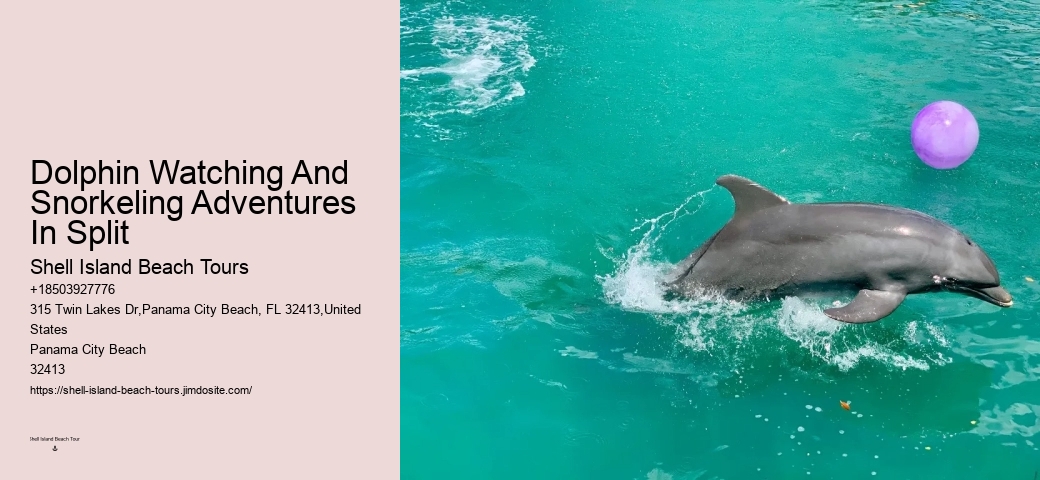 Shell Island Blue Dolphin Tours
