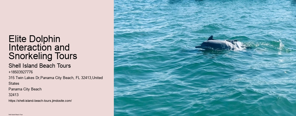 Elite Dolphin Interaction and Snorkeling Tours