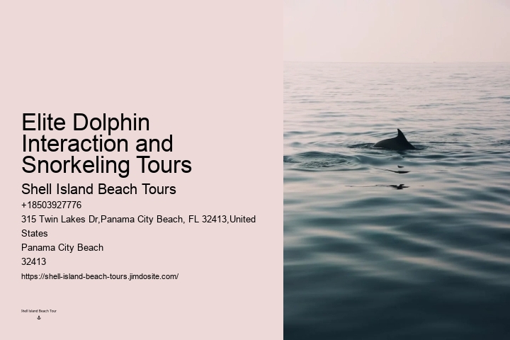 Dolphin watching trips at Panama City Beach