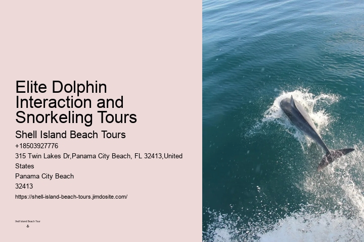 Panama City Beach Dolphin Tours Panama City Beach