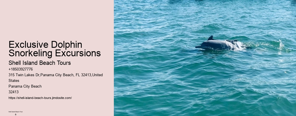 Exclusive Dolphin Snorkeling Excursions