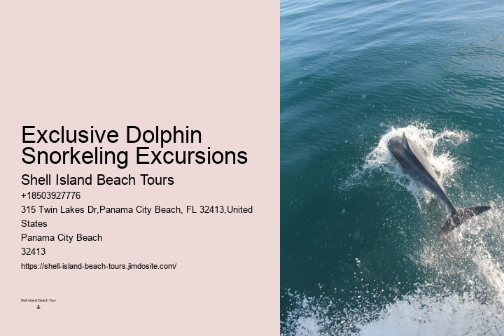 Split Private Luxury Dolphin And Snorkeling Tours